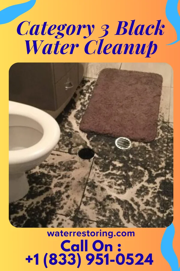 Category 3 Black Water Cleanup in Milton, WA