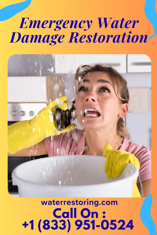 Emergency Water Damage Restoration in Milton, WA