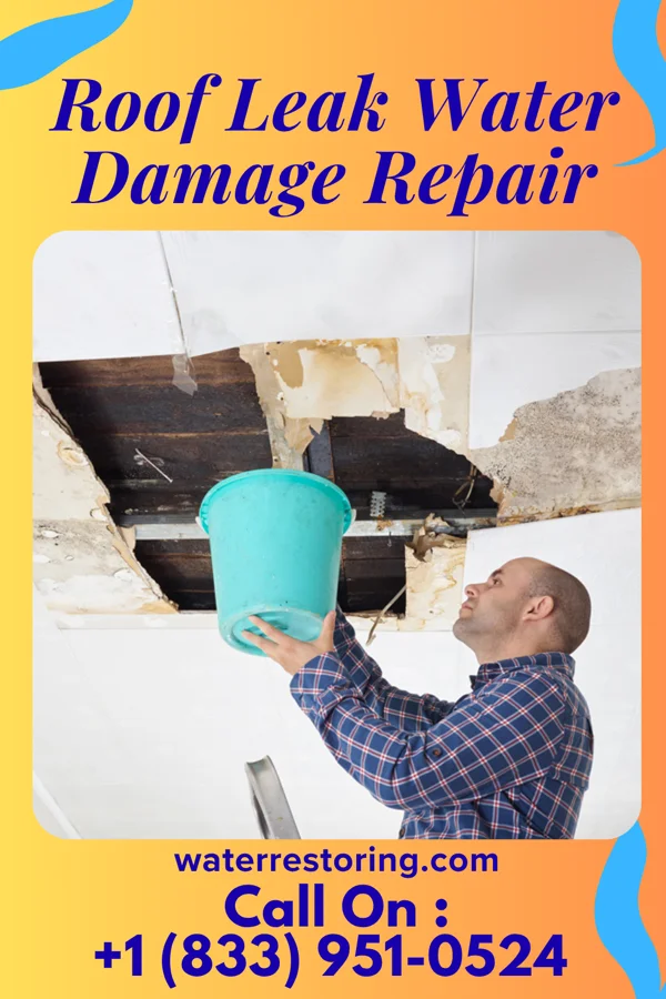 Roof Leak Water Damage Repair in Milton, WA