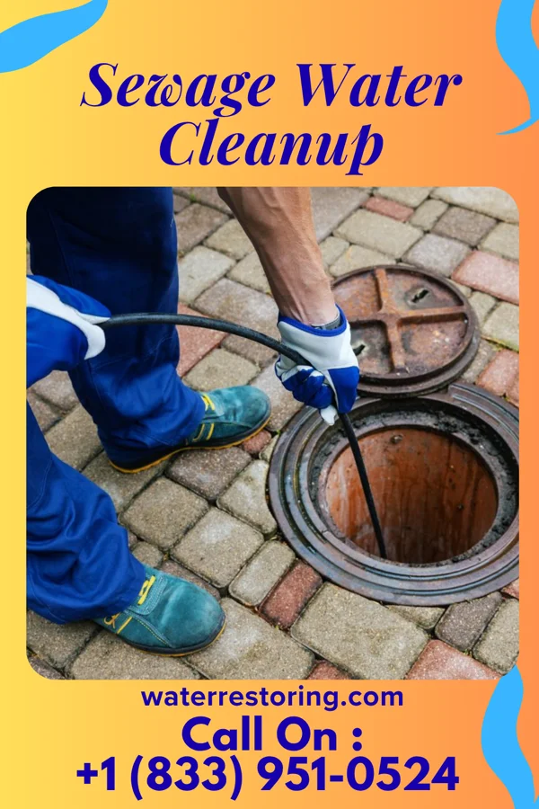 Sewage Water Cleanup in Milton, WA